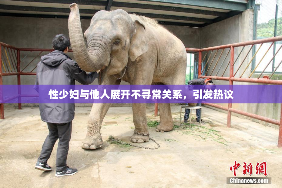 性少妇与他人展开不寻常关系，引发热议