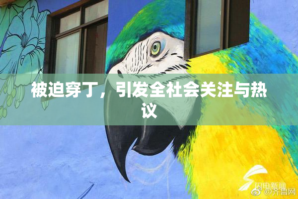 被迫穿丁，引发全社会关注与热议