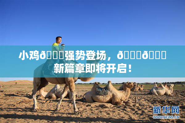 小鸡🐔强势登场，🍑🔞新篇章即将开启！