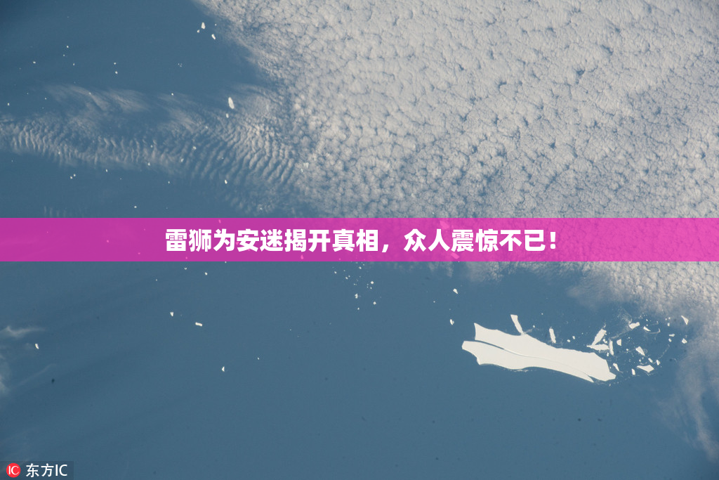 雷狮为安迷揭开真相，众人震惊不已！