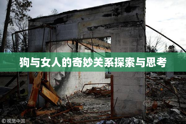 狗与女人的奇妙关系探索与思考