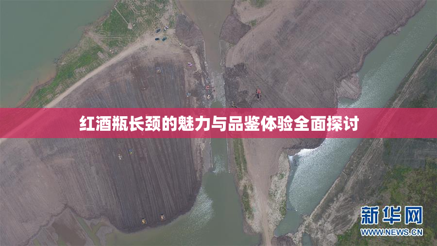 红酒瓶长颈的魅力与品鉴体验全面探讨