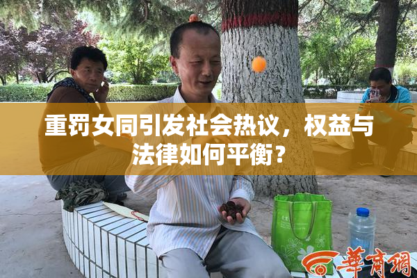 重罚女同引发社会热议，权益与法律如何平衡？