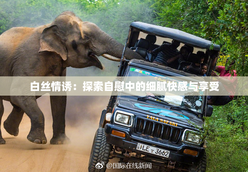 白丝情诱：探索自慰中的细腻快感与享受