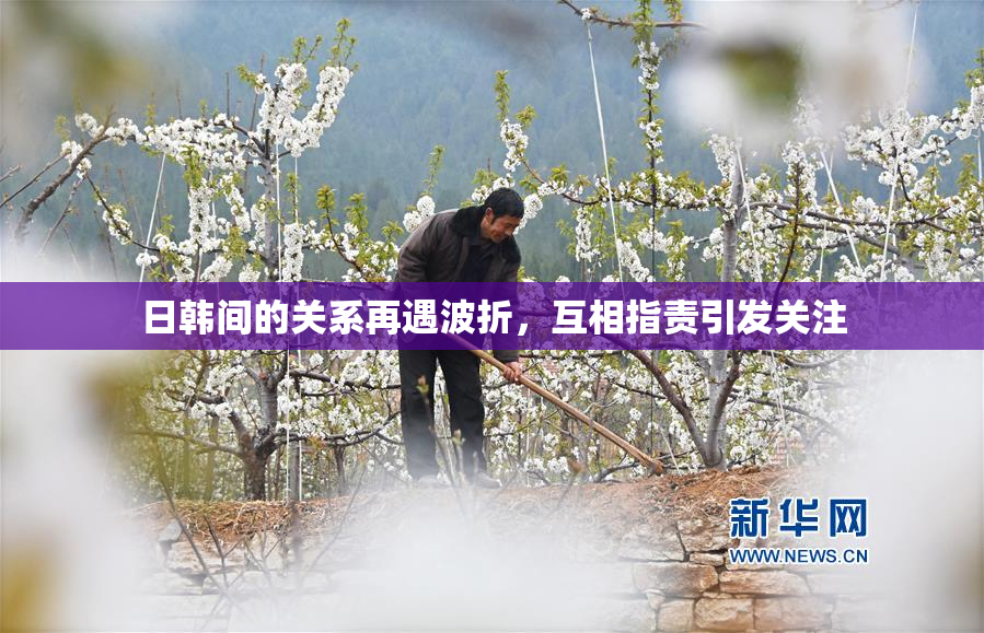日韩间的关系再遇波折，互相指责引发关注