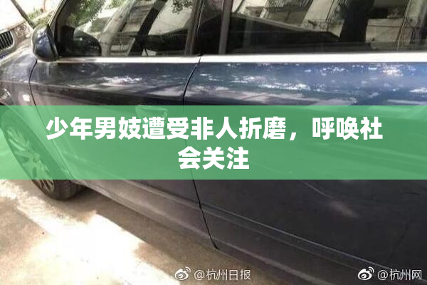 少年男妓遭受非人折磨，呼唤社会关注