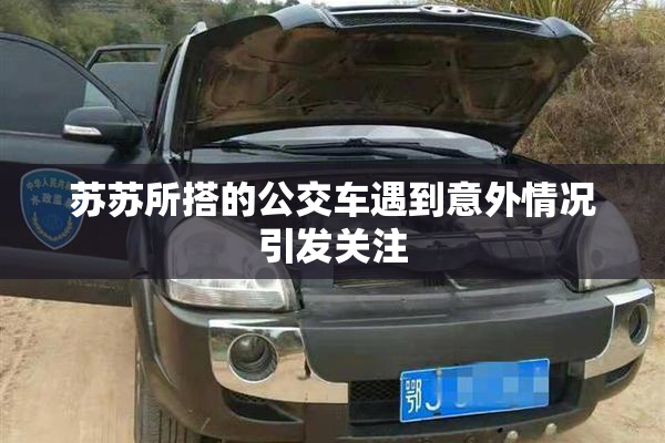 苏苏所搭的公交车遇到意外情况引发关注