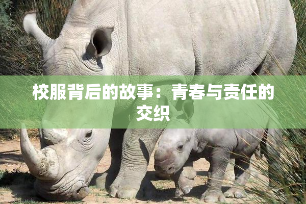 校服背后的故事：青春与责任的交织