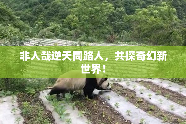 非人哉逆天同路人，共探奇幻新世界！