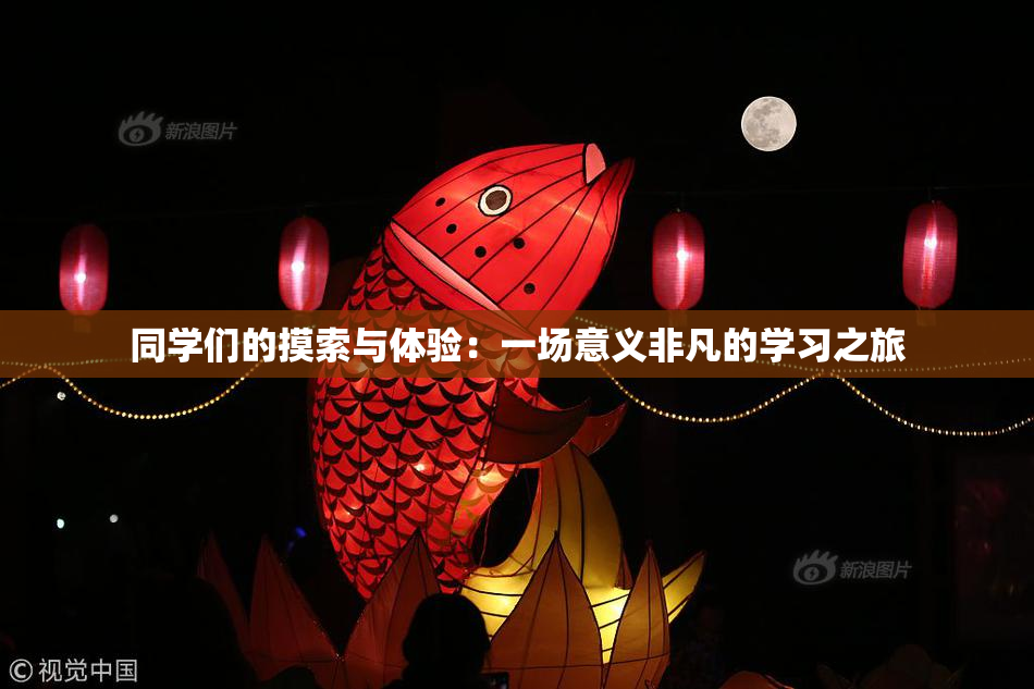 同学们的摸索与体验：一场意义非凡的学习之旅