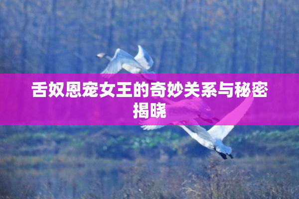 舌奴恩宠女王的奇妙关系与秘密揭晓