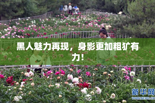 黑人魅力再现，身影更加粗犷有力！
