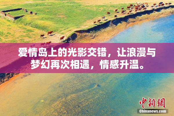 爱情岛上的光影交错，让浪漫与梦幻再次相遇，情感升温。