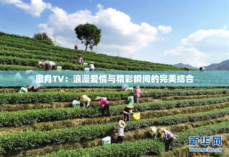 蜜月TV：浪漫爱情与精彩瞬间的完美结合