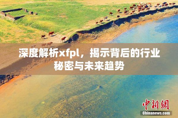 深度解析xfpl，揭示背后的行业秘密与未来趋势