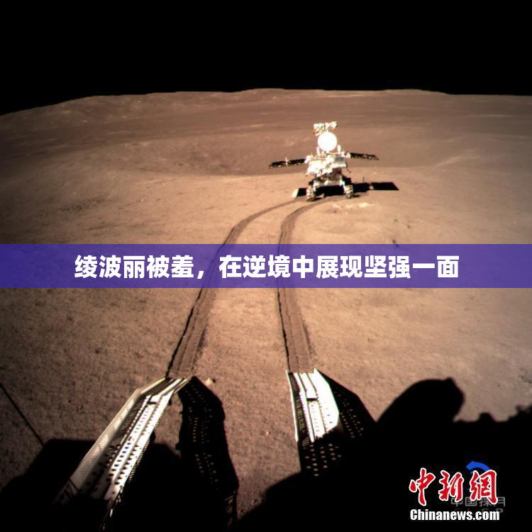绫波丽被羞，在逆境中展现坚强一面