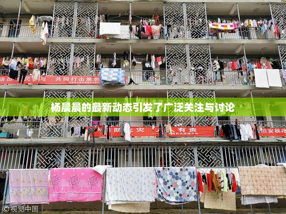 杨晨晨的最新动态引发了广泛关注与讨论