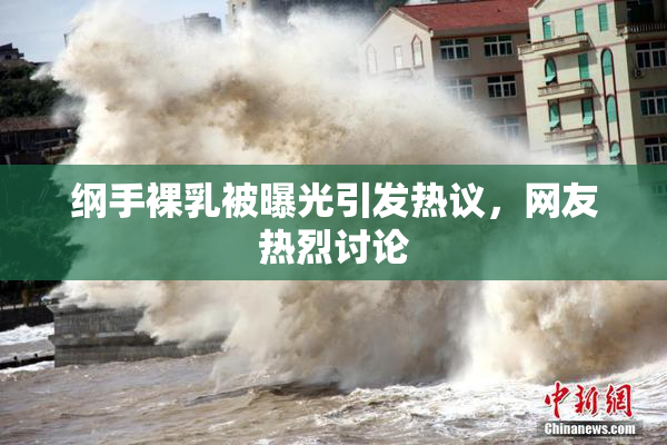 纲手裸乳被曝光引发热议，网友热烈讨论