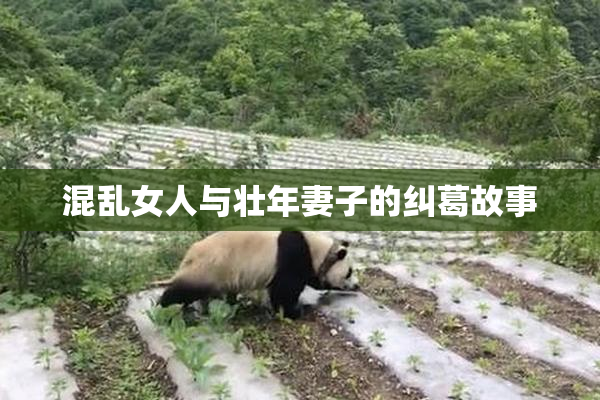 混乱女人与壮年妻子的纠葛故事