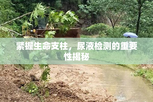 紧握生命支柱，尿液检测的重要性揭秘