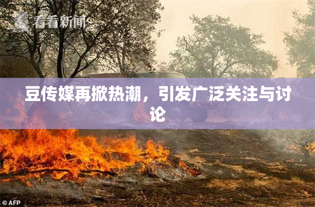 豆传媒再掀热潮，引发广泛关注与讨论