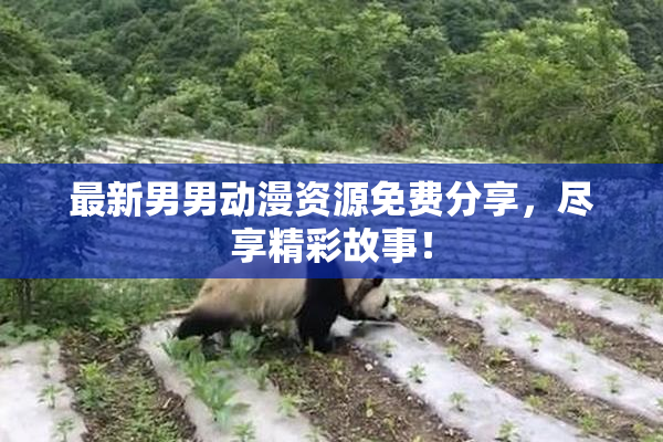 最新男男动漫资源免费分享，尽享精彩故事！