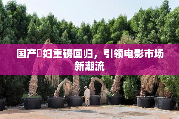 国产婬妇重磅回归，引领电影市场新潮流