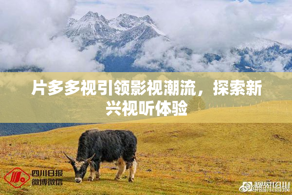 片多多视引领影视潮流，探索新兴视听体验