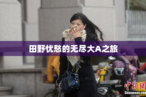 田野忧愁的无尽大A之旅