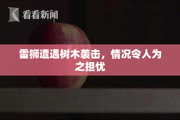 雷狮遭遇树木袭击，情况令人为之担忧