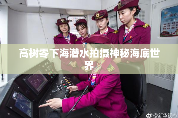 高树零下海潜水拍摄神秘海底世界