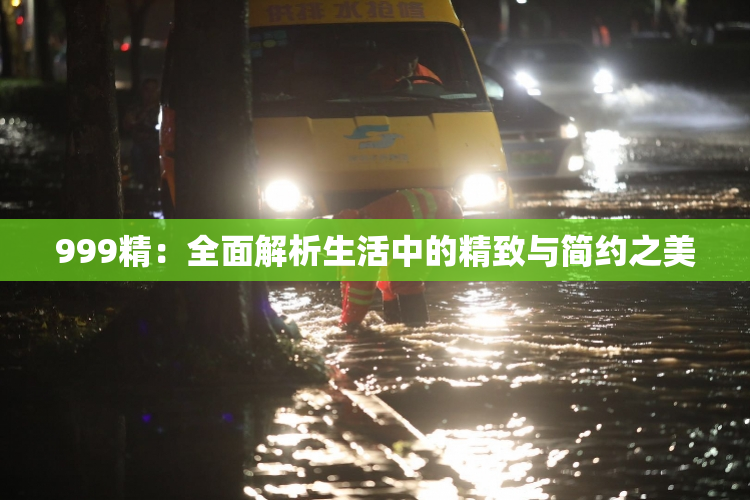 999精：全面解析生活中的精致与简约之美