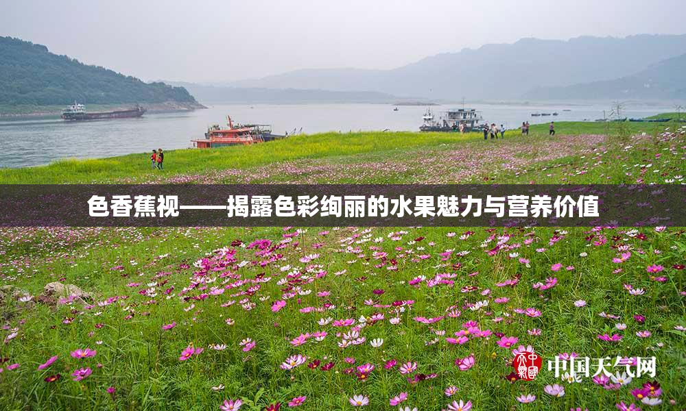 色香蕉视——揭露色彩绚丽的水果魅力与营养价值