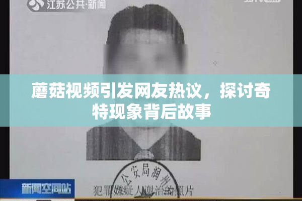蘑菇视频引发网友热议，探讨奇特现象背后故事