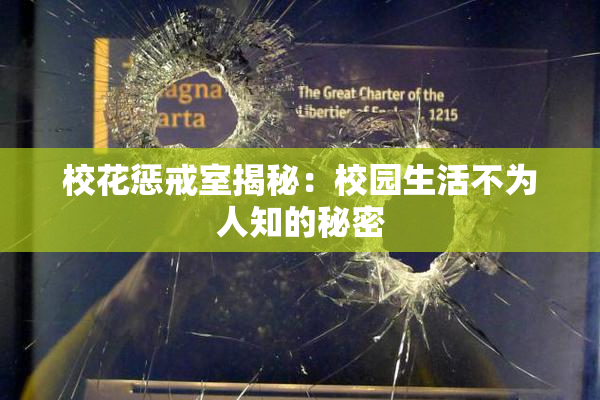 校花惩戒室揭秘：校园生活不为人知的秘密