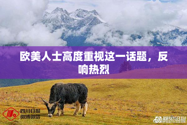 欧美人士高度重视这一话题，反响热烈