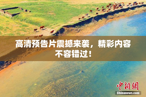 高清预告片震撼来袭，精彩内容不容错过！