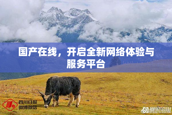 国产在线，开启全新网络体验与服务平台
