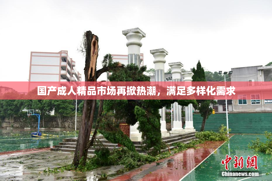 国产成人精品市场再掀热潮，满足多样化需求