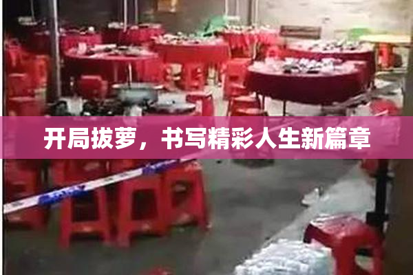 开局拔萝，书写精彩人生新篇章