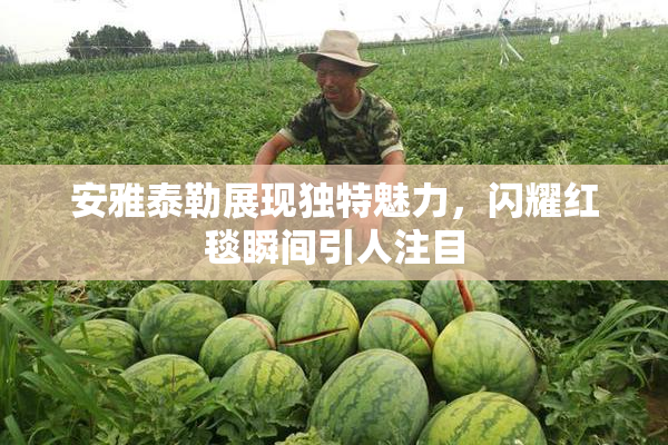 安雅泰勒展现独特魅力，闪耀红毯瞬间引人注目