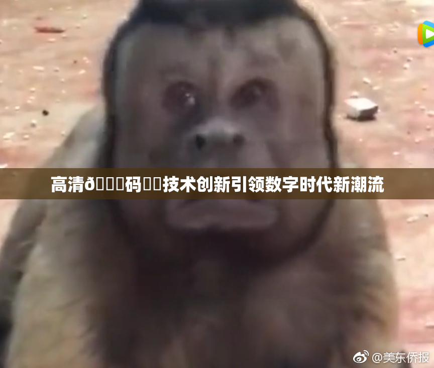 高清🈚码❌‌技术创新引领数字时代新潮流