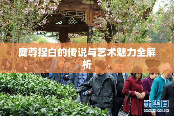 庞尊捏白的传说与艺术魅力全解析