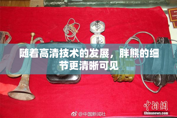 随着高清技术的发展，胖熊的细节更清晰可见