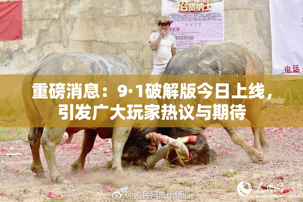 重磅消息：9·1破解版今日上线，引发广大玩家热议与期待