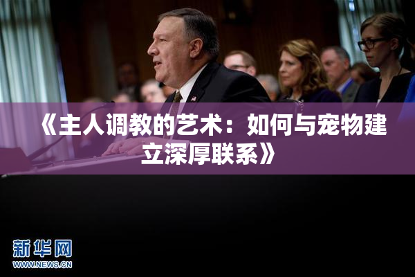 《主人调教的艺术：如何与宠物建立深厚联系》