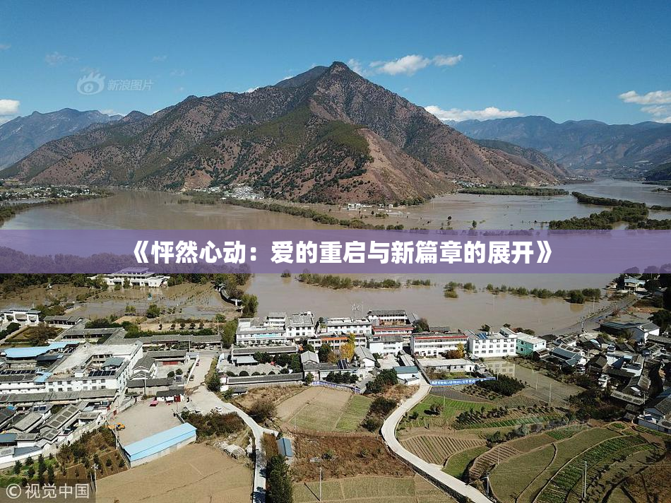 《怦然心动：爱的重启与新篇章的展开》