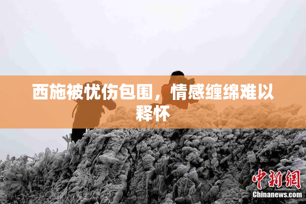 西施被忧伤包围，情感缠绵难以释怀