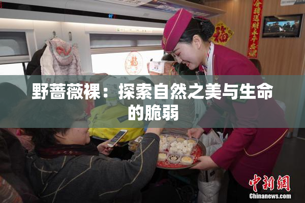 野蔷薇裸：探索自然之美与生命的脆弱