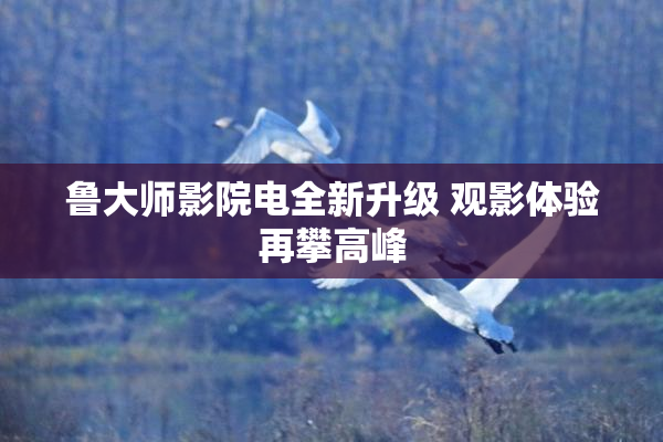 鲁大师影院电全新升级 观影体验再攀高峰